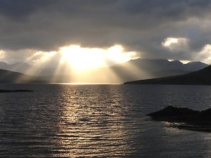 Bereavement and Loss Counselling. new light over the sea